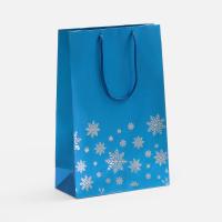 Пакет Wintry, синий от martvrn.ru