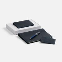 Набор inStream Maxi, синий от martvrn.ru