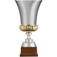 Кубок Erfolg, серебристый от martvrn.ru