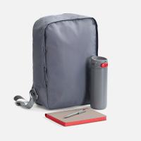 Набор Flexpen Travel, серый с красным от martvrn.ru