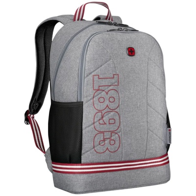 Рюкзак Collegiate Quadma, серый от martvrn.ru