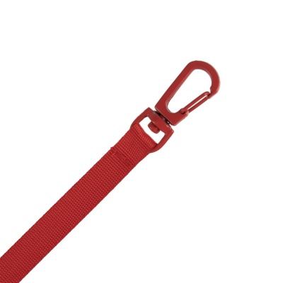 Застежка-карабин Snap Hook, S, красная от martvrn.ru