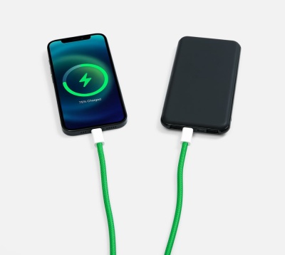 Кабель-ланьярд energyFlex Pro, зеленый от martvrn.ru