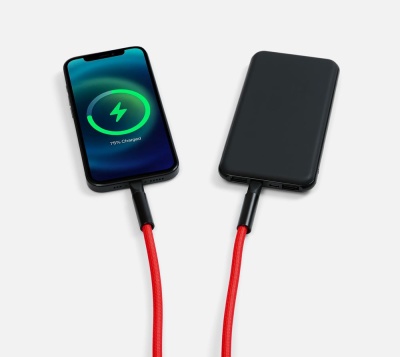 Кабель-ланьярд energyFlex Power Delivery 60 Вт, красный от martvrn.ru