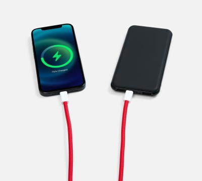 Кабель-ланьярд energyFlex Pro, красный от martvrn.ru