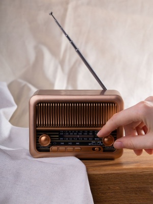 Bluetooth-колонка с радио Beatnik, коричневая от martvrn.ru