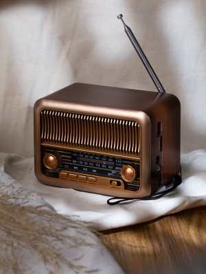 Bluetooth-колонка с радио Beatnik, коричневая от martvrn.ru