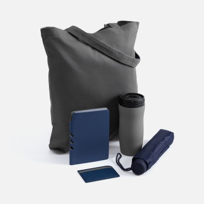 Набор Dual Umbrella, синий от martvrn.ru